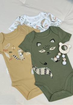 Bébé-Body-Lot de 3 bodies bébé manches courtes gabin