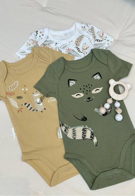 Lot de 3 bodies bébé manches courtes gabin Vert 1 - vertbaudet enfant 