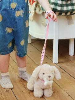 Jouet-Premier âge-Peluche chien et son sac KONGES SLOJD