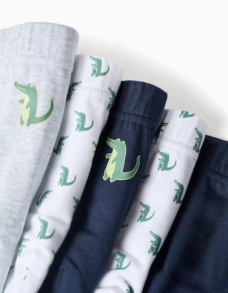 Lot de 5 slips en coton avec crocodiles imprimés Multicolore 3 - vertbaudet enfant 