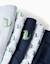 Lot de 5 slips en coton avec crocodiles imprimés Multicolore 3 - vertbaudet enfant 
