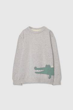-Pull enfant coton  crocodile