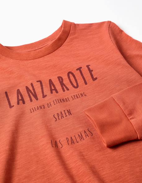 T-shirt en coton à manches longues work of art Orange+Vert foncé 3 - vertbaudet enfant 