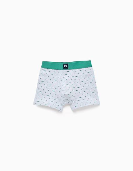 Lot de 4 boxers unis/à imprimés Multicolore 2 - vertbaudet enfant 