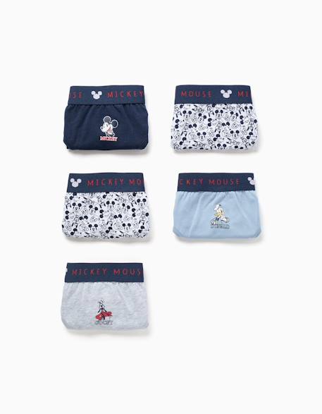 Garçon-Lot de 5 slips en coton mickey & friends