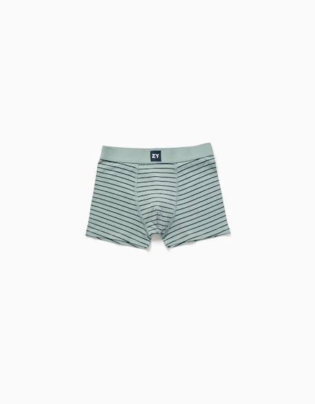 Lot de 4 boxers en coton unis/rayés Multicolore 2 - vertbaudet enfant 