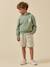 Sweat à capuche garçon - coton biologique Tilleul 5 - vertbaudet enfant 
