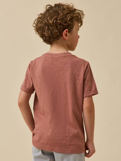 T-shirt imprimé garçon - coton biologique Ecru+Indigo+Terracotta 11 - vertbaudet enfant 