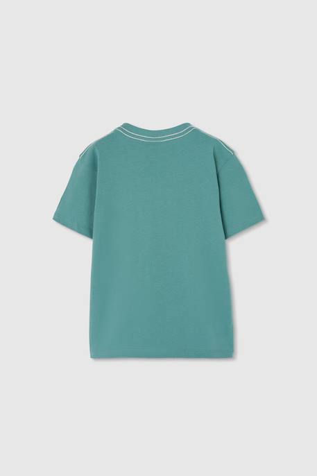 T-shirt enfant coton Vert 2 - vertbaudet enfant 