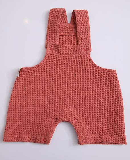 Combinaison bébé mini maya Anthracite+Beige+Bleu+Terracotta+Vert 12 - vertbaudet enfant 