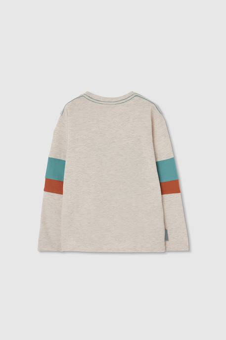 T-shirt garçon coton manches longues Marron 2 - vertbaudet enfant 