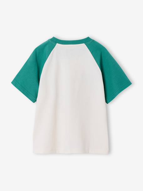 T-shirt manches courtes garçon bleu océan+vert émeraude 7 - vertbaudet enfant 