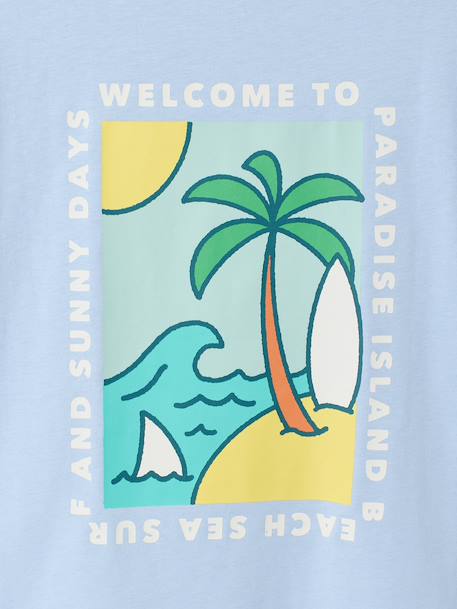 T-shirt garçon motifs devant et dos anthracite+blanc+bleu ciel+bleu océan 17 - vertbaudet enfant 
