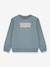 Sweat Batwing Levi's vert de gris 1 - vertbaudet enfant 