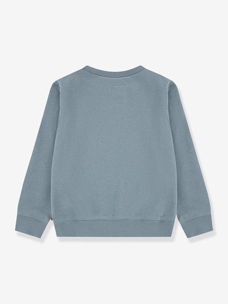 Sweat Batwing Levi's vert de gris 2 - vertbaudet enfant 