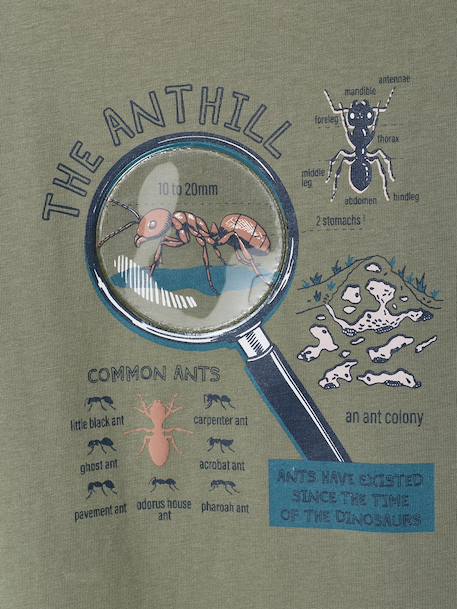 T-shirt manches courtes garçon blanc chiné+lichen 6 - vertbaudet enfant 