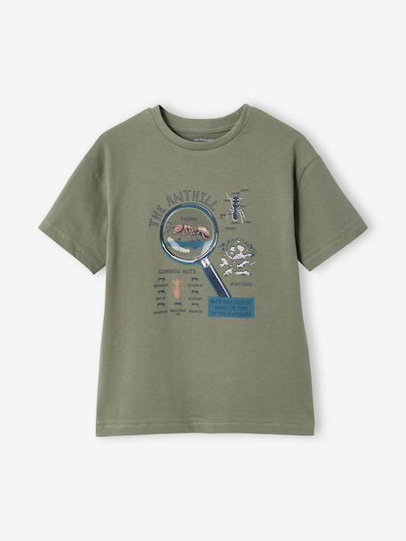 Garçon-T-shirt manches courtes garçon