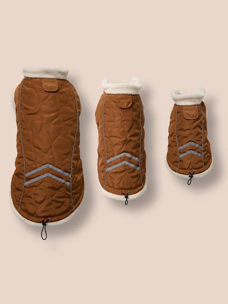 Manteau imperméable chien caramel 7 - vertbaudet enfant 