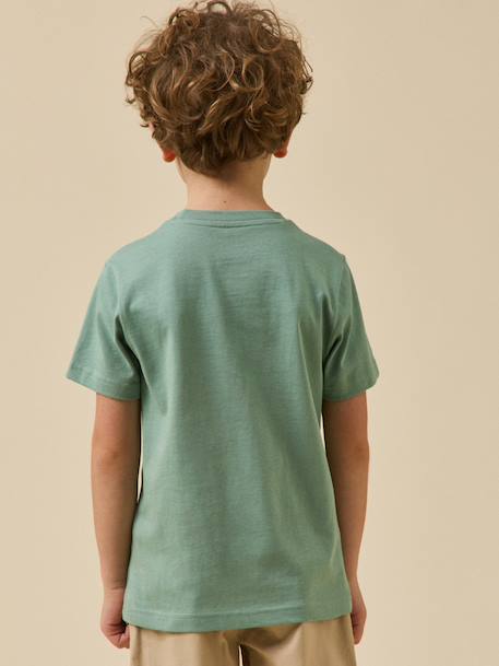 T-shirt imprimé garçon - coton biologique Blanc/surf+Bleu ciel / voilier+Bleu/skate+Celadon/fish+Gris chine/tennis+Marine / surflife 17 - vertbaudet enfant 