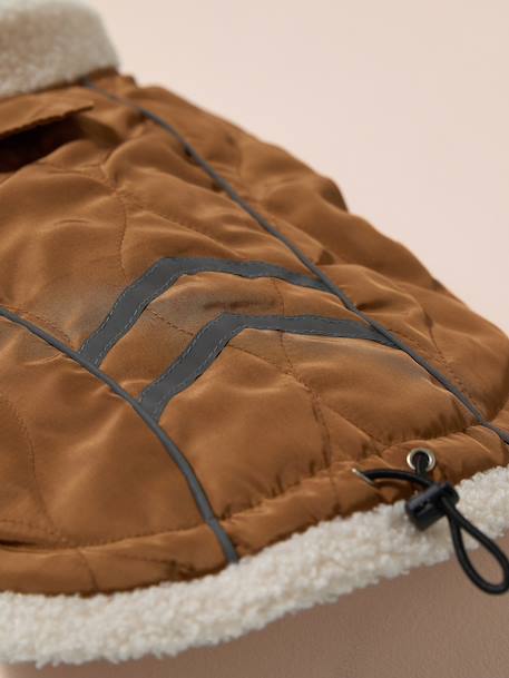 Manteau imperméable chien caramel 4 - vertbaudet enfant 