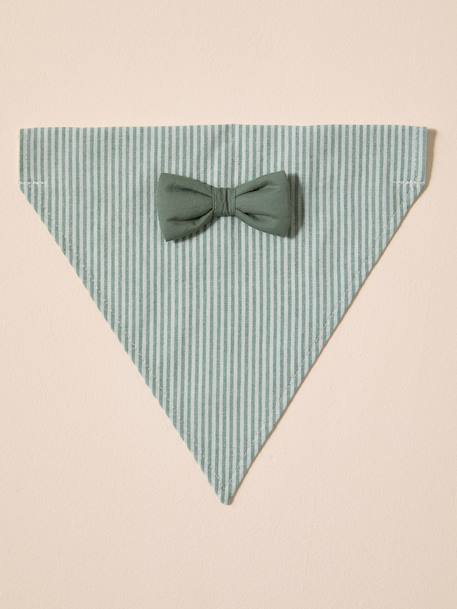 Bandana chien coton rayé vert sauge 5 - vertbaudet enfant 