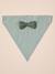 Bandana chien coton rayé vert sauge 5 - vertbaudet enfant 