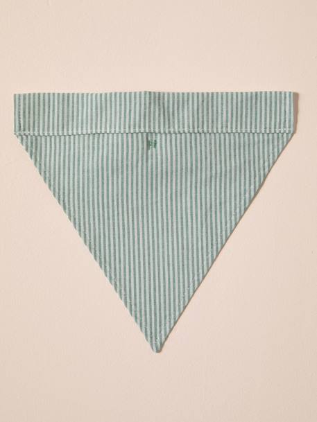 Bandana chien coton rayé vert sauge 2 - vertbaudet enfant 