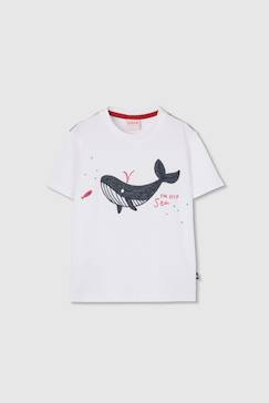 T-shirt enfant coton  baleine  - vertbaudet enfant