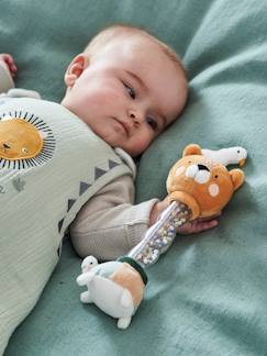 Jouets bébé premières manipulations - Jouets d'éveil - vertbaudet