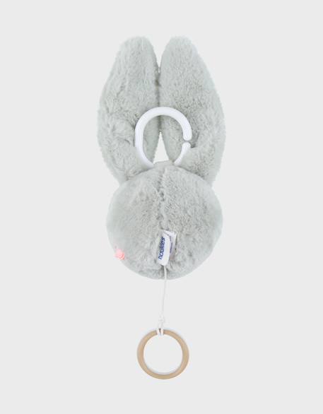 Peluche tête mini-musicale 20cm - verdi Vert 5 - vertbaudet enfant 