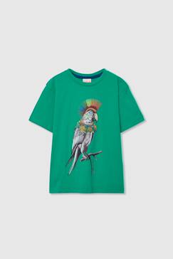 Garçon-T-shirt, polo, sous-pull-T-shirt-T-shirt enfant coton  perroquet