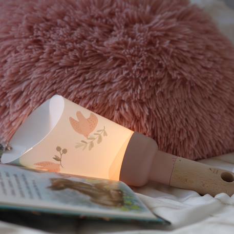 Coffret lampe nomade 5 en 1 pléiades - taupe cendré Blanc, rose+Blanc, rose, sauge+Blanc, rose, vert d'eau+Blanc, taupe, noir+Blanc, vert d'eau, marron 11 - vertbaudet enfant 