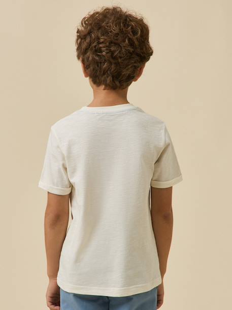 T-shirt imprimé garçon - coton biologique Ecru+Indigo+Terracotta 4 - vertbaudet enfant 