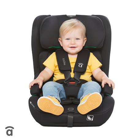 Siège auto i-Size Isofix 76-150 cm Profix Gris+Noir 12 - vertbaudet enfant 