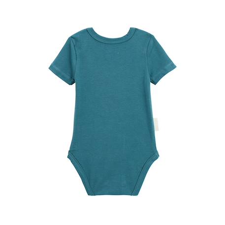 Lot de 3 bodies bébé manches courtes baroudeur Bleu 5 - vertbaudet enfant 
