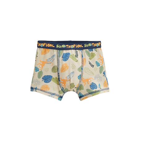 Lot de 2 boxers garçon monkey Bleu 3 - vertbaudet enfant 