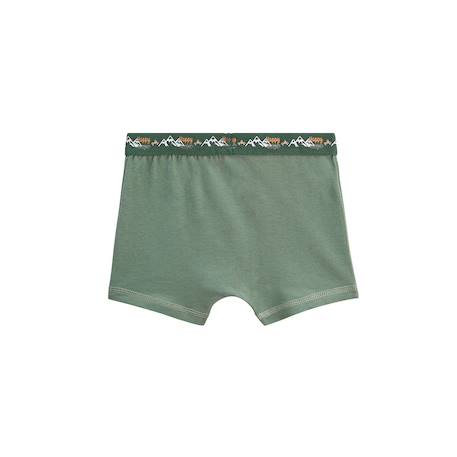 Lot de 2 boxers garçon forest Vert 4 - vertbaudet enfant 