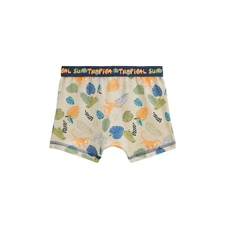 Lot de 2 boxers garçon monkey Bleu 4 - vertbaudet enfant 