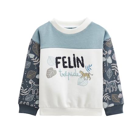 Sweat-shirt bébé en molleton félintrépide Bleu 2 - vertbaudet enfant 
