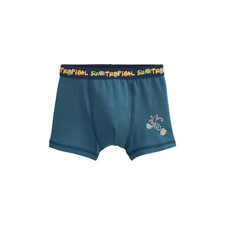 Lot de 2 boxers garçon monkey Bleu 5 - vertbaudet enfant 