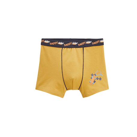 Lot de 2 boxers garçon happy rider Ocre 3 - vertbaudet enfant 