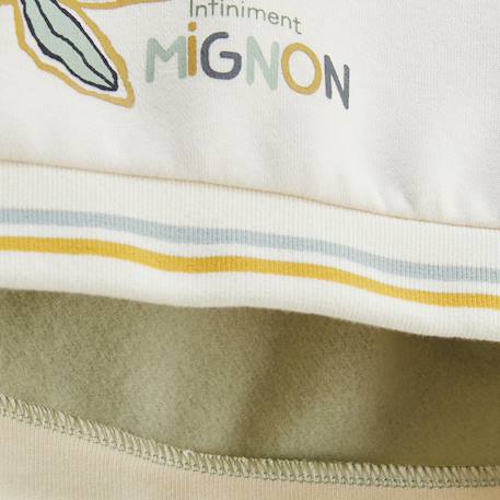 Sweat-shirt bébé en molleton boavista Vert 4 - vertbaudet enfant 
