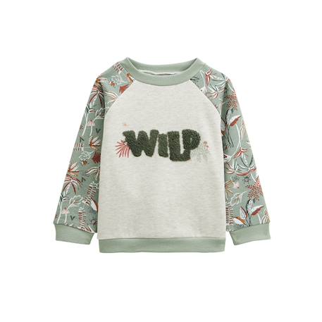 Sweat-shirt enfant en molleton abou Kaki 2 - vertbaudet enfant 
