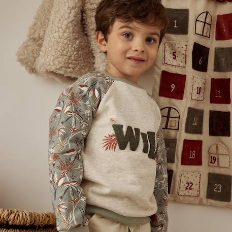 Sweat-shirt enfant en molleton abou Kaki 6 - vertbaudet enfant 