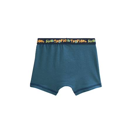Lot de 2 boxers garçon monkey Bleu 6 - vertbaudet enfant 