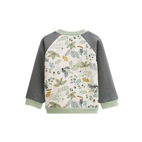 Ensemble enfant sweat et pantalon en molleton boavista Kaki 3 - vertbaudet enfant 