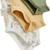 Lot de 3 bodies bébé manches courtes gabin Vert 3 - vertbaudet enfant 