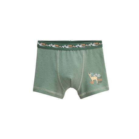 Lot de 2 boxers garçon forest Vert 3 - vertbaudet enfant 