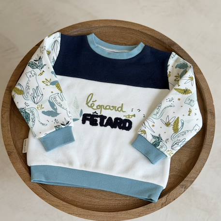 Sweat-shirt enfant en molleton oscar Bleu 6 - vertbaudet enfant 
