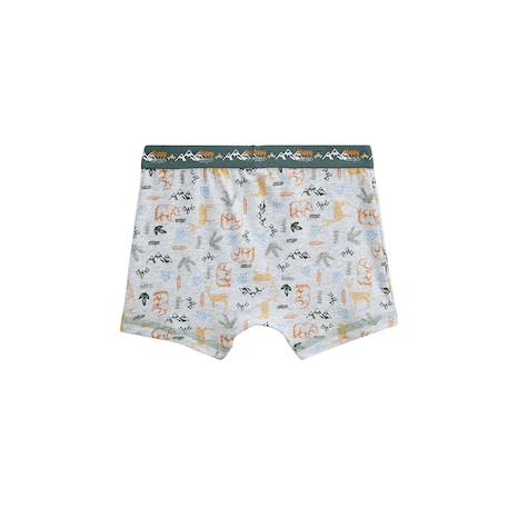 Lot de 2 boxers garçon forest Vert 6 - vertbaudet enfant 